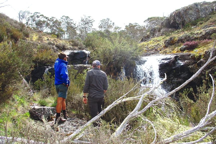 Two men stand back to camera on a ridge in front of a small waterfall in a granite and grass landscape in east Australian bush.