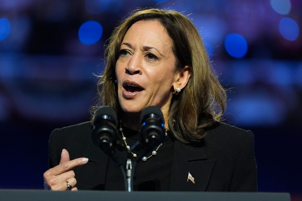 Kamala Harris is in favor of strict guardrails, which some experts fear could stall innovation