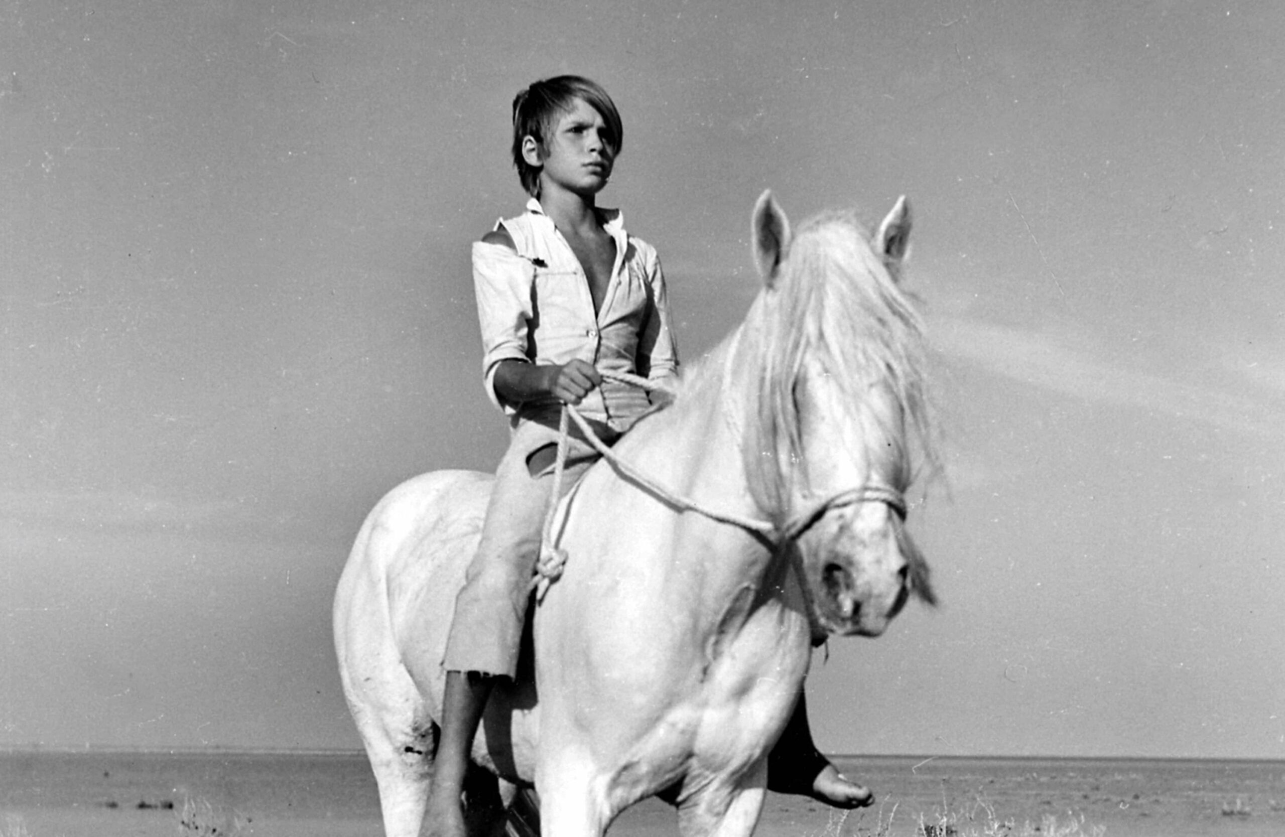 White Mane (1953)