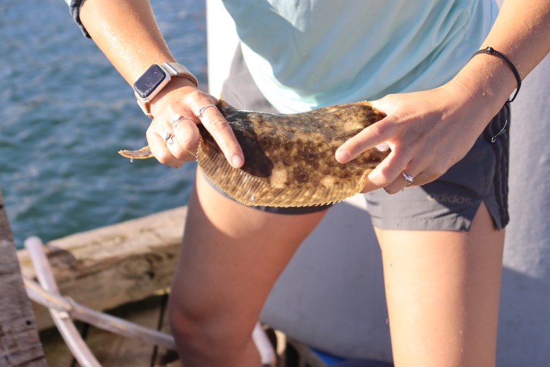 Marine biologist Sierra Jarriel handles a flounder before it's outfitted with a tag, placed in a cage, and dropped underwater.