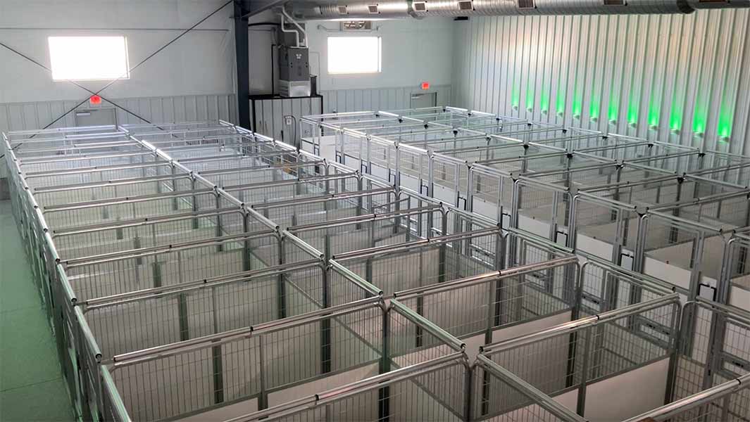 boarding kennels