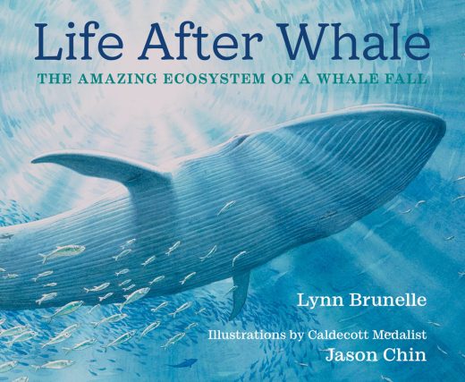 cover image for Life After Whale: The Amazing Ecosystem of a Whale Fall