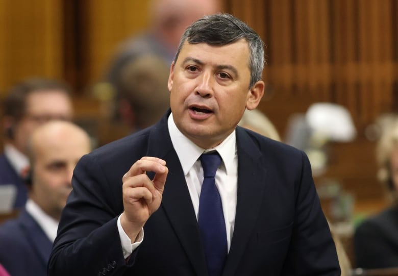 A man in a suit gestures while speaking in Parliament. 