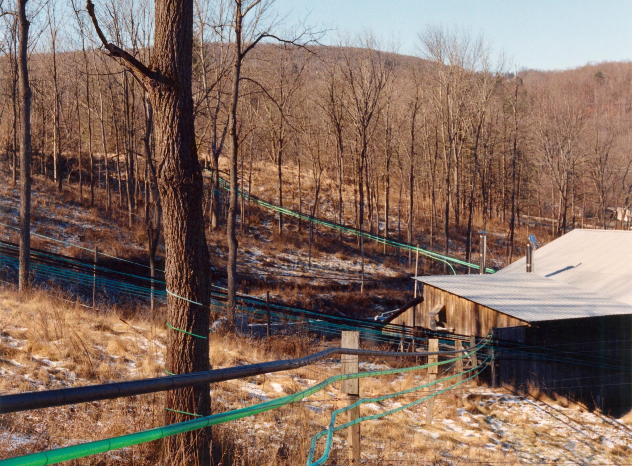 sap hoses leading to facility