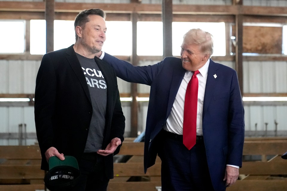 Trump and Musk appear to have buried their differences, with the Tesla boss pumping $130 million into the former President's attempt to return to the White House