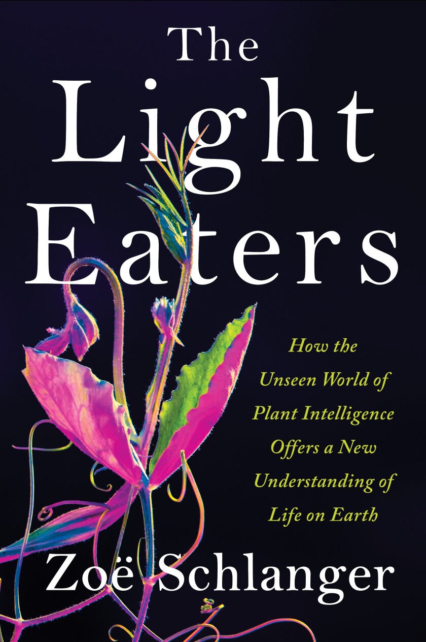 Light Eaters hc book jacket.jpg