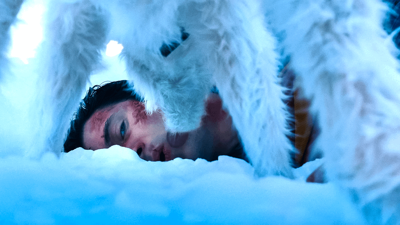 Krypto licking Superman in the Superman trailer.