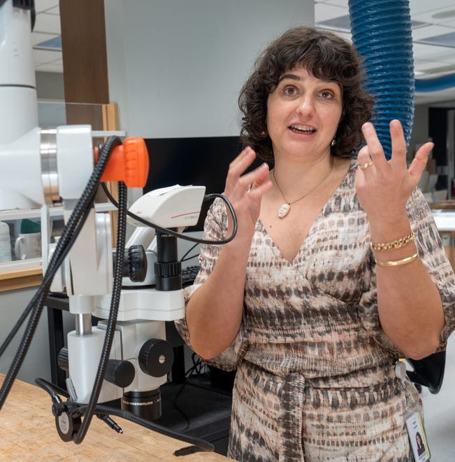 Clowes Conservator of Paintings Roxy Sperber shows a microscope that allows her to see enlarged portions of paintings she works on, to help the fine detail of conservation, Tuesday, Dec. 10, 2024 at the Indianapolis Museum of Art at Newfields.