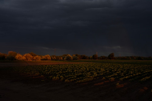 Ontario, Oregon farmland