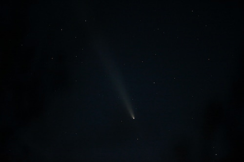 A comet appears as a small streak of white light in the dark night sky.