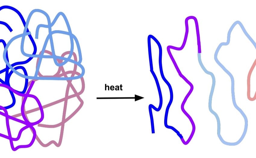 Process of denaturation 1