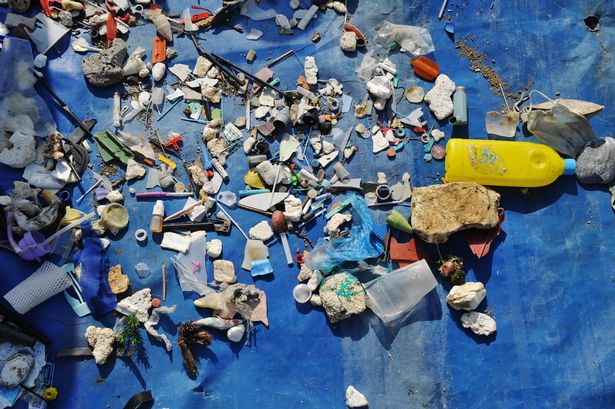 A view of the plastics and microplastic found on beaches