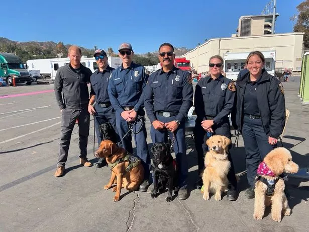 Harry poses with members of the Salinas Fire Department at their therapy dogs