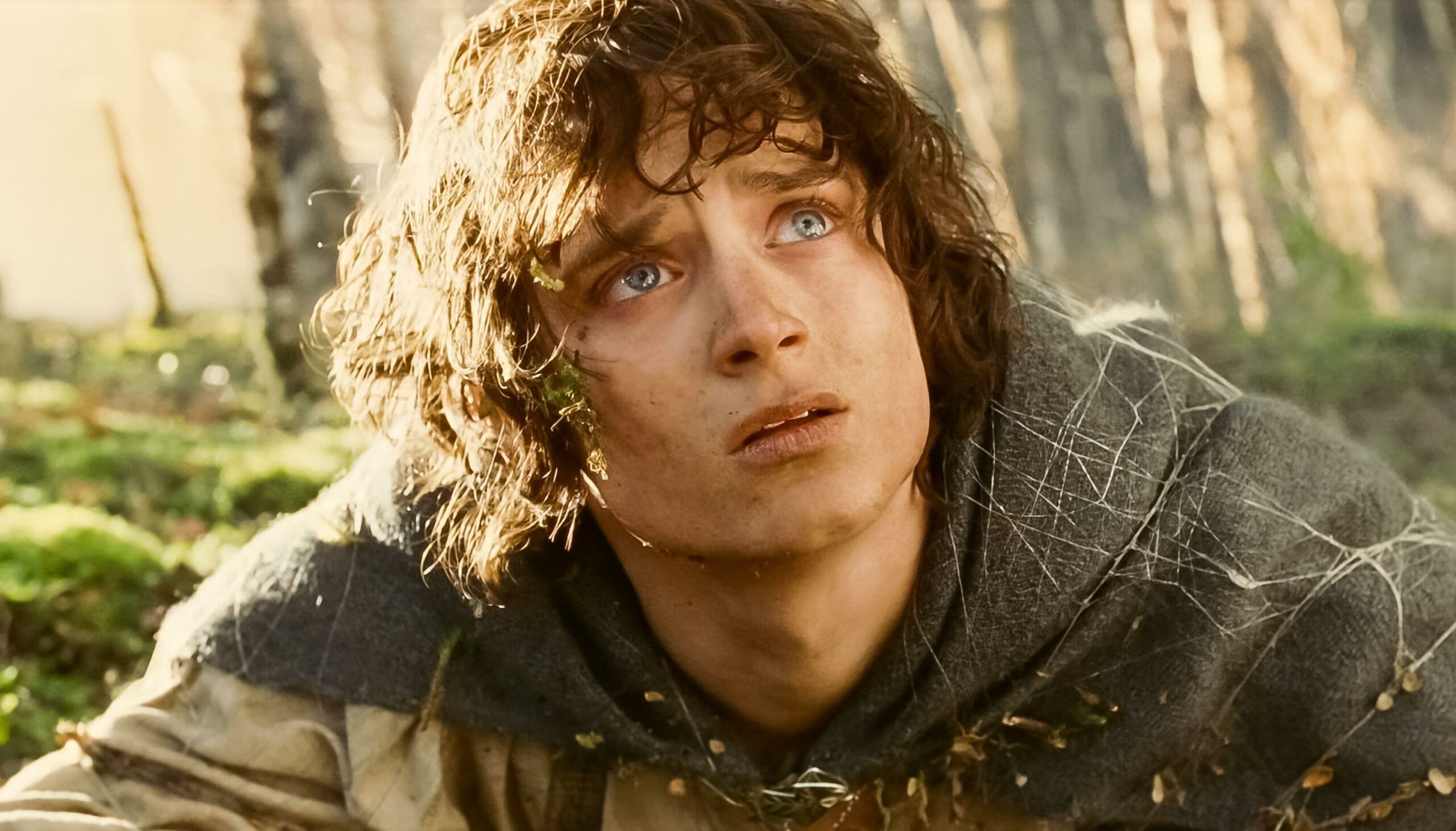 Elijah Wood as Frodo Baggins in The Lord of the Rings: The Return of the King.