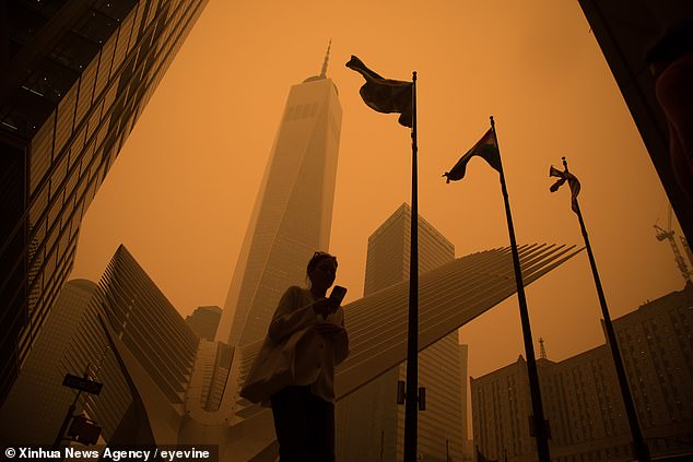 Last year, wildfires in Canada carried smoke down the East Coast, enveloping New York in a hazy smog. Fungal spores can hitch a ride on these smoke clouds to travel vast distances and make their way into people's lungs