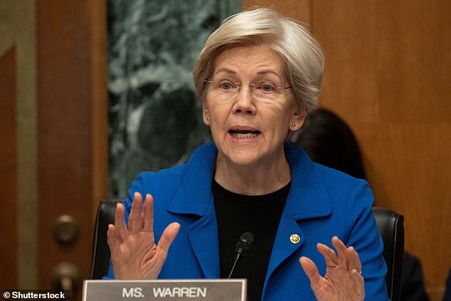 Senator Elizabeth Warren accused Altman of trying to 'curry favor' for his company with the donation