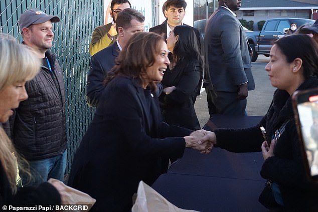 Vice President Kamala Harris visited Altadena, California, to assess the aftermath of the LA fires