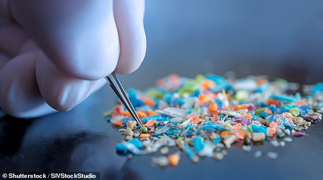 Chinese scientists found microplastics small enough to cross the highly sensitive barrier designed to protect sensitive brain tissue caused a potentially hazardous immune reaction