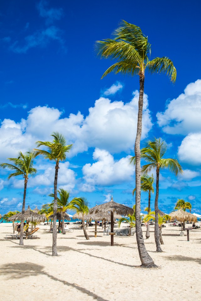 Eagle Beach in Oranjestad, Aruba, with palm trees and beach umbrellas.