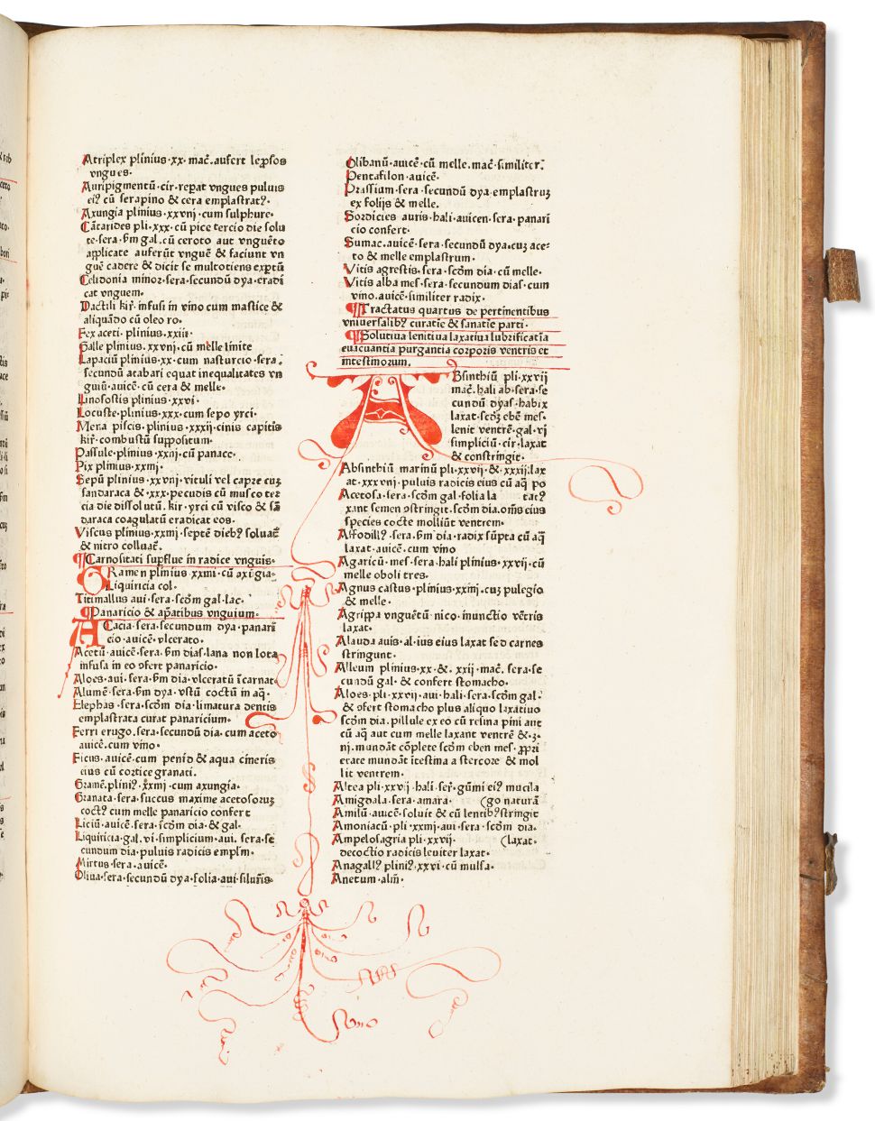 An open book showing a columned layout of Latin text with decorative red flourishes and intricate doodles extending vertically across the page.