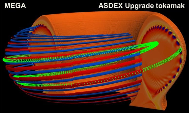 ELM ASDEX Upgrade Tokamk