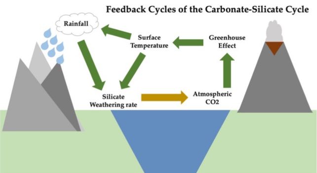 feedback loops for carbonate silicate cycle