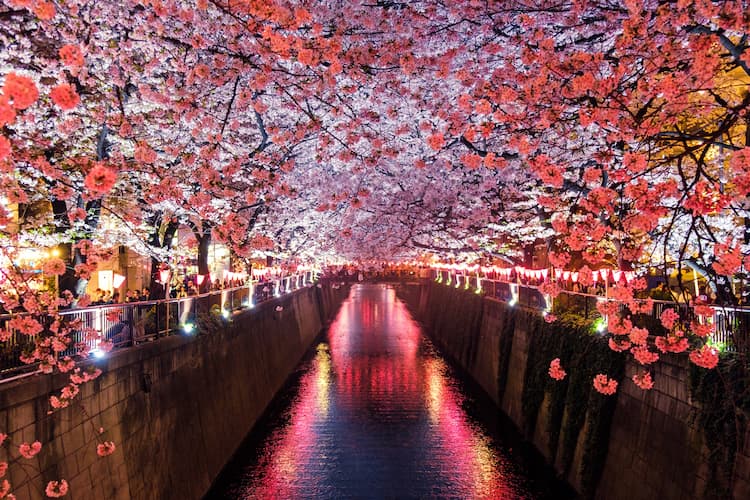 Meguro River Matsuno Japan. Photo by Sora Sagano, Unsplash