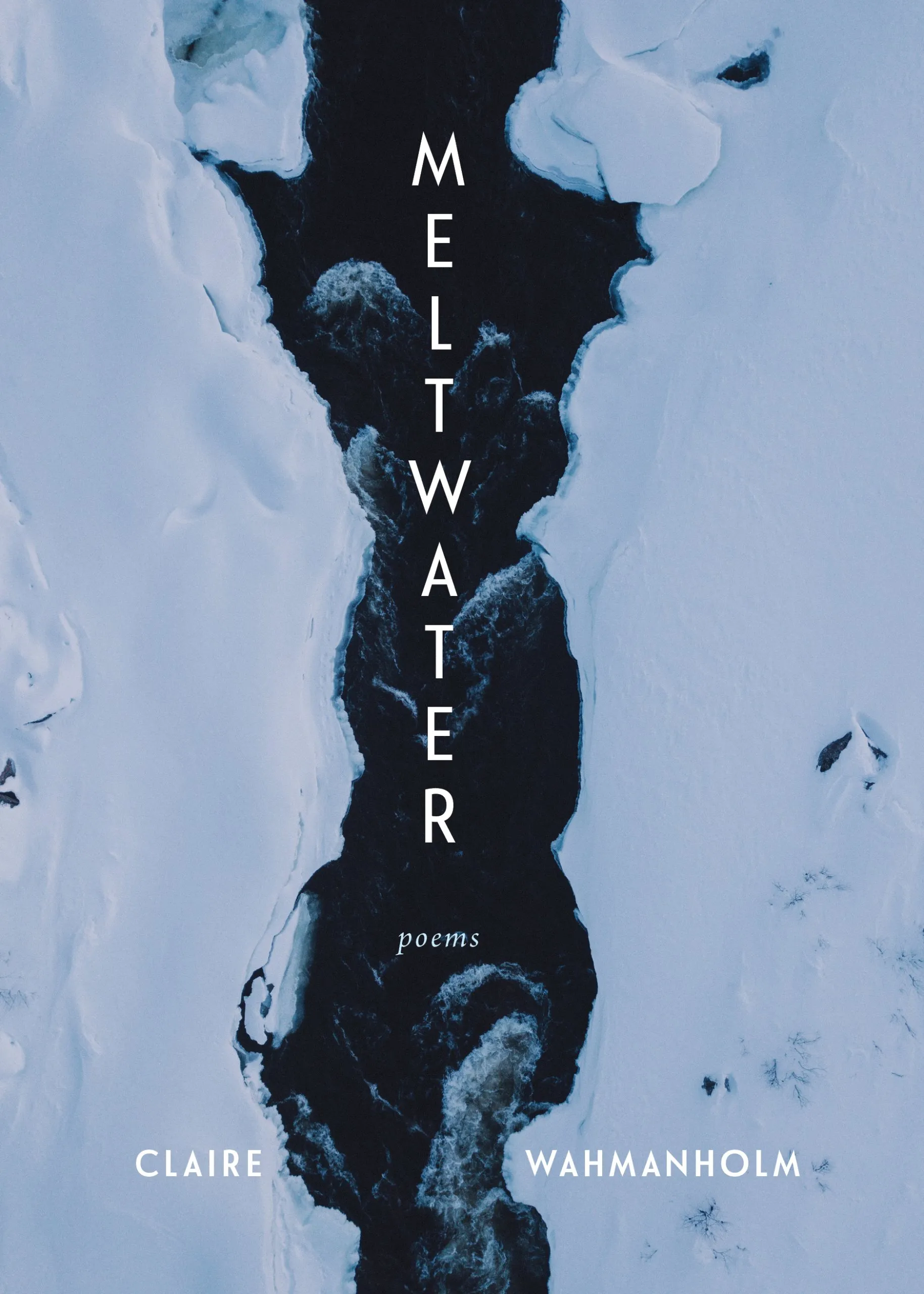 cover of Meltwater by Claire Wahmanholm