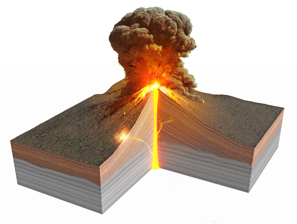 Illustration of a stratovolcano erupting, showing its layered interior and magma chamber.