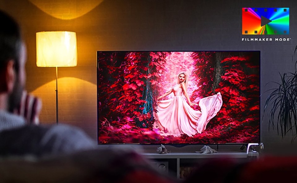 Person watching a TV displaying a woman in a pink dress in a red forest.