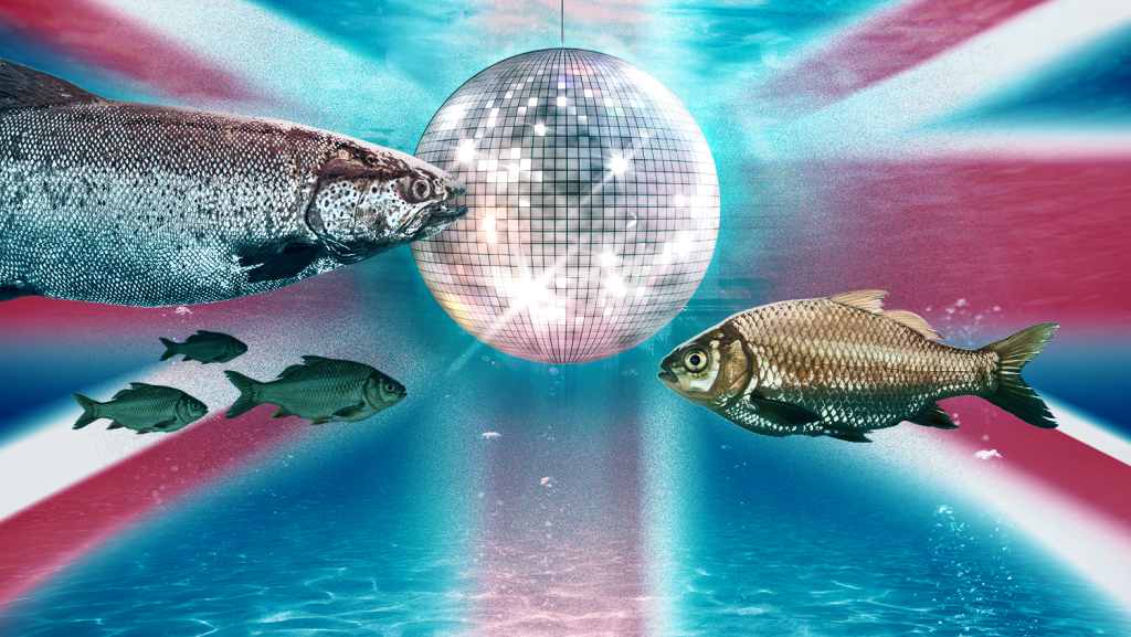 251127-TMB-British%20Fish%20Disco.png