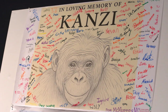 6cdd68db54973002b69ca0e456aa3599