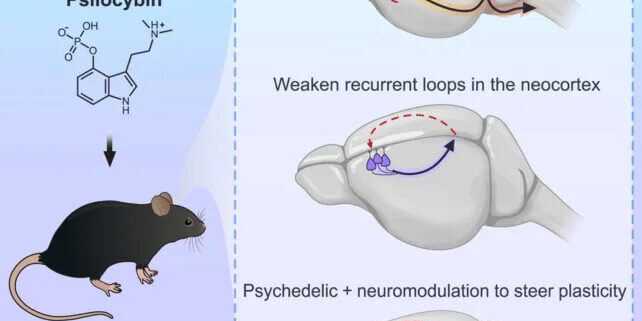 0351806cec1eca279c78397a1e99ddf8