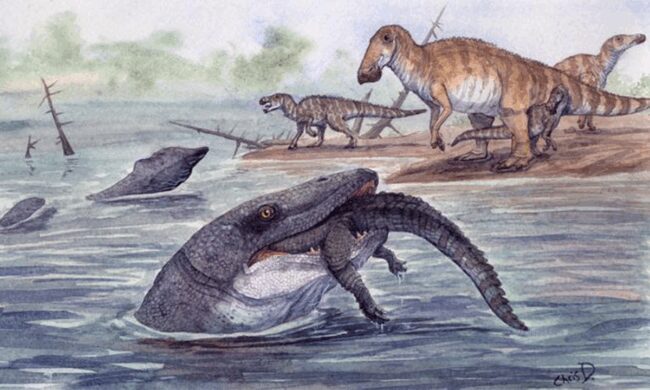 04f80e19305f94583bd0b78431255379