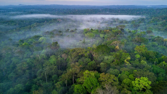 07e4799134f3de30d0bfe47b1f449a27