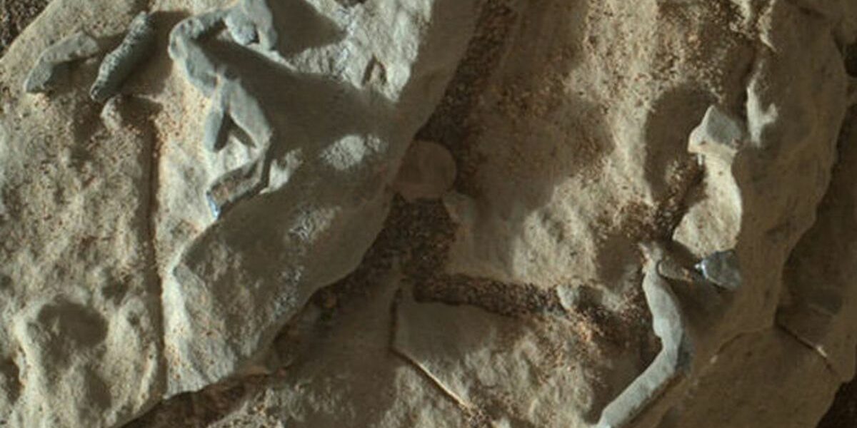 0_Mars-fossil-1406181
