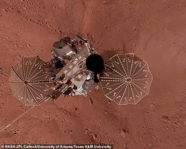 Experts said the next step is to work out whether any of these microorganisms could have survived the trip to the Red Planet. Pictured: The Phoenix Lander on Mars