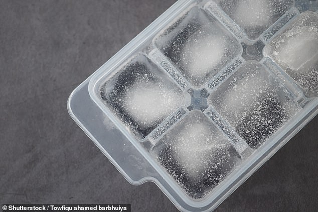 In a typical ice cube tray, as freezing begins and ice starts to form inward from all directions, it traps whatever is floating in the water - mostly air bubbles, dissolved minerals and gases (file image)