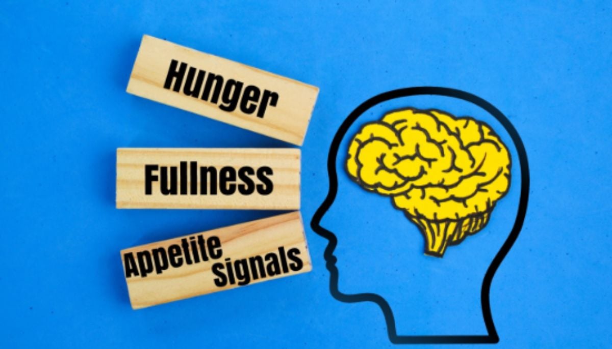 Researchers have identified a previously overlooked protein that helps regulate appetite and energy use in the body