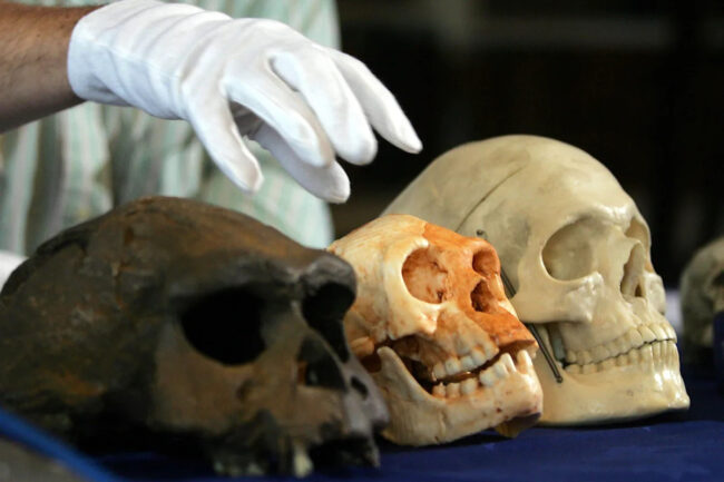 150bcab0a0614a173e9a0f114130e524