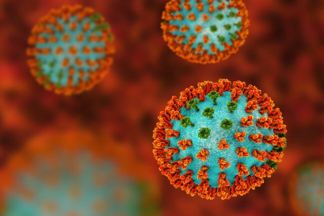 1_Influenza-virus-H3N2-illustration.jpg