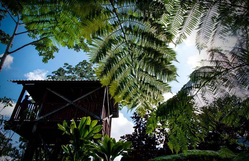 Holguin, host of the main event for Cuban Science Day 1