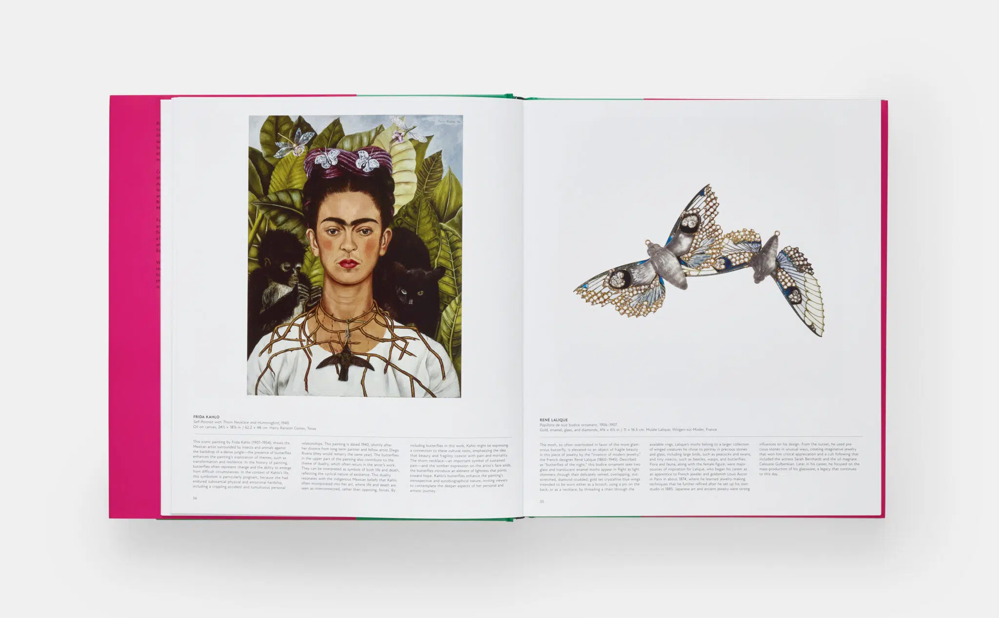 Spread from “Butterfly” (Phaidon).