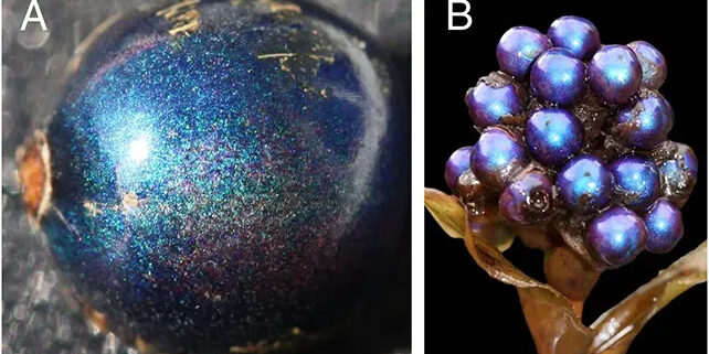 289632be3f20d485136aa28054b46cf5