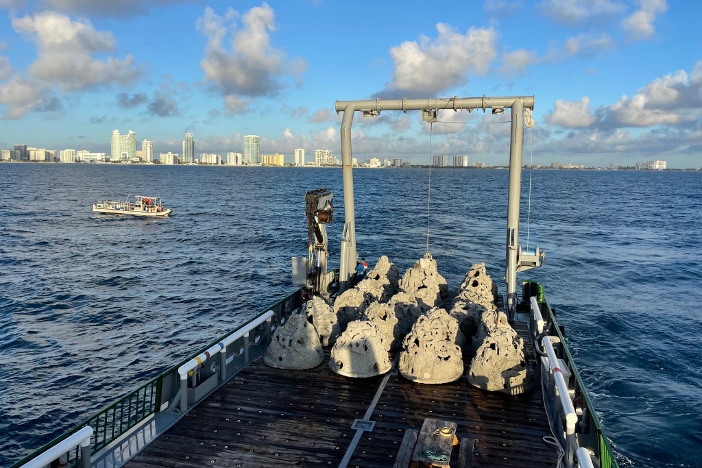 Ocean Rescue Alliance Intl reef modules staged for deployment into the ocean on a barge in Hollywood Florida.