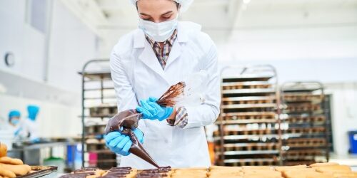 431cd680-76be-46af-9d2b-b9e282e10095choclate lab.jpg