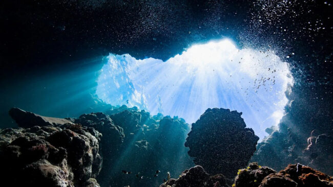 4f41d732773b583718c1df0cfe7b2121