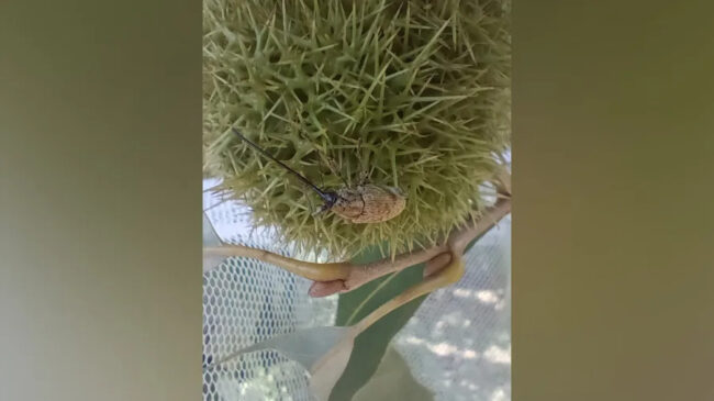 50d1d0d47192eac81389b07b68cf17a3