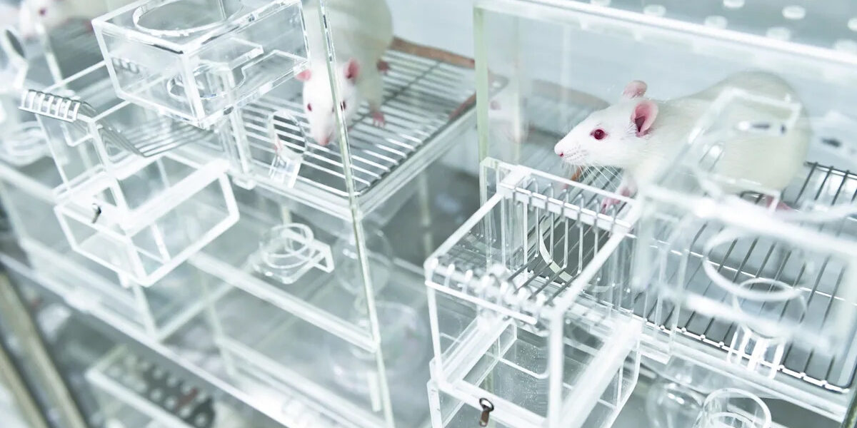 53cd6219d0df8dad3b9a3d540d6cec1e