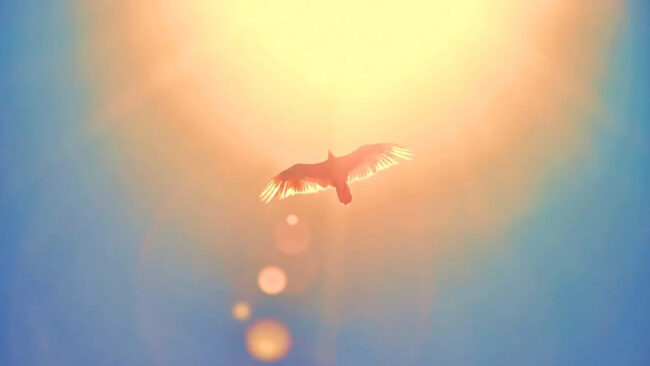 5f70b413247cb707bb282534bcde6336